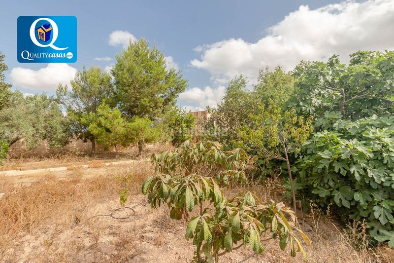 Foto da955ef3-8d25-47d5-81c5-e3877b39eaa6. Casa amb aparcament a Agost