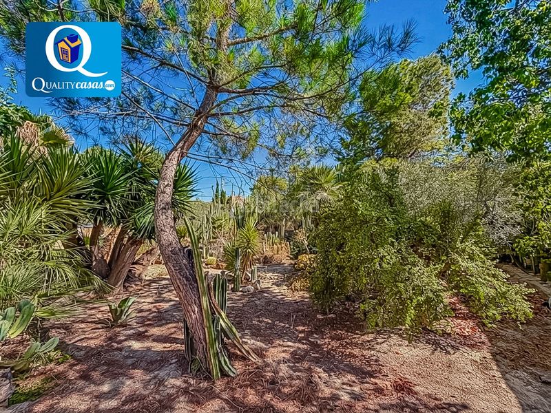 Foto acce9d0b-1449-4b76-ad2e-fd6246e419c1. Casa amb calefacció aparcament a Cañada del Fenollar Alicante