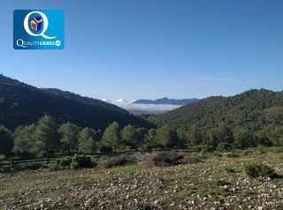 Terreno residencial en Onil. Parc. rúst. en venta en onil.