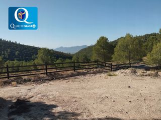 Terreno residencial en Onil
