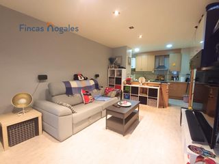 Ground floor in La Plana del Pintor. Planta baja  la planada del pintor