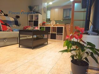 Planta baixa a La Plana del Pintor. Planta baja  la planada del pintor