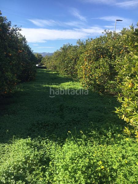 Foto 84c3406b-1e8b-4373-b4df-3e2b5351cc25. Finca rústica terreno en venta en benifla en Beniflá