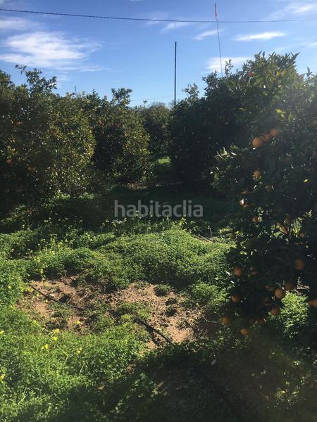 Foto 9b3610a1-0a49-4ce0-b84d-6ed5337f3341. Finca rústica terreno en venta en benifla en Beniflá