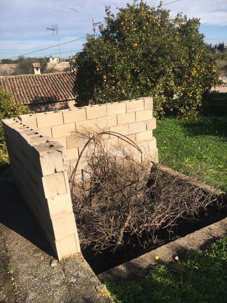 Foto ad23360b-6a84-4f7c-828a-18c6592138d9. Finca rústica terreno en venta en benifla en Beniflá