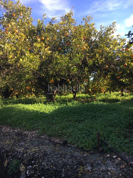 Foto d5295b17-c92d-4b6d-823c-bfc3ef34b1c7. Finca rústica terreno en venta en benifla en Beniflá