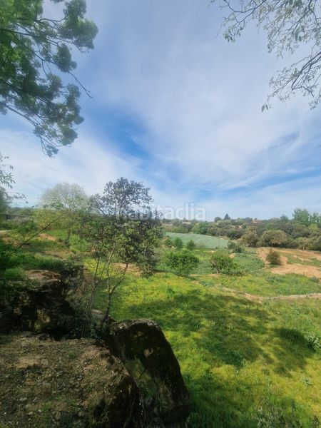 Foto 1c3b341c-7f84-44b9-86d2-b0042cdea601. Masia amb xemeneia calefacció aparcament piscina a Preixens