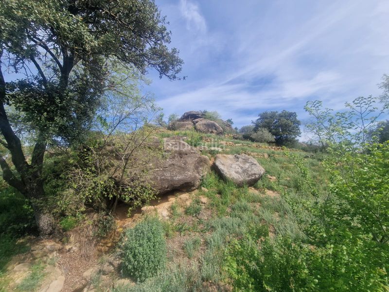 Foto 31413e35-c0e4-4168-a4ea-446d0f6f06c4. Masia amb xemeneia calefacció aparcament piscina a Preixens