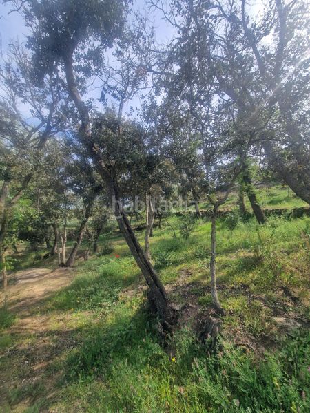 Foto 6c6a5dab-e606-48e0-954f-a04e039e34f1. Masia amb xemeneia calefacció aparcament piscina a Preixens