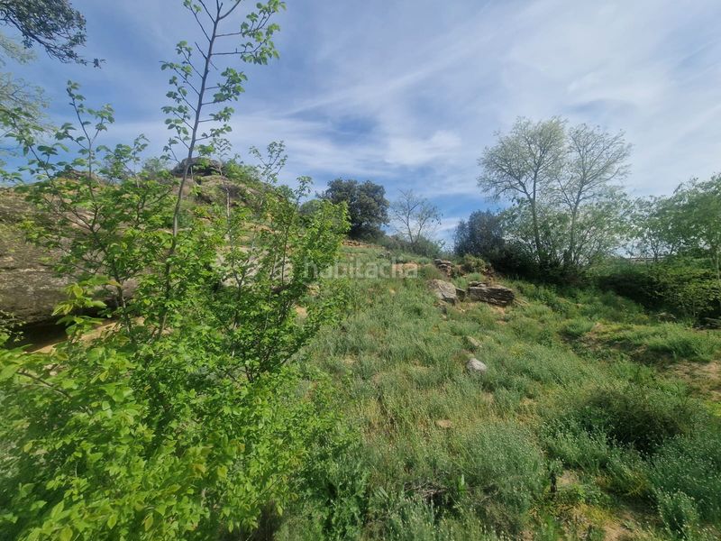 Foto a1757830-48bb-48e7-9236-bd4163f4941b. Masia amb xemeneia calefacció aparcament piscina a Preixens