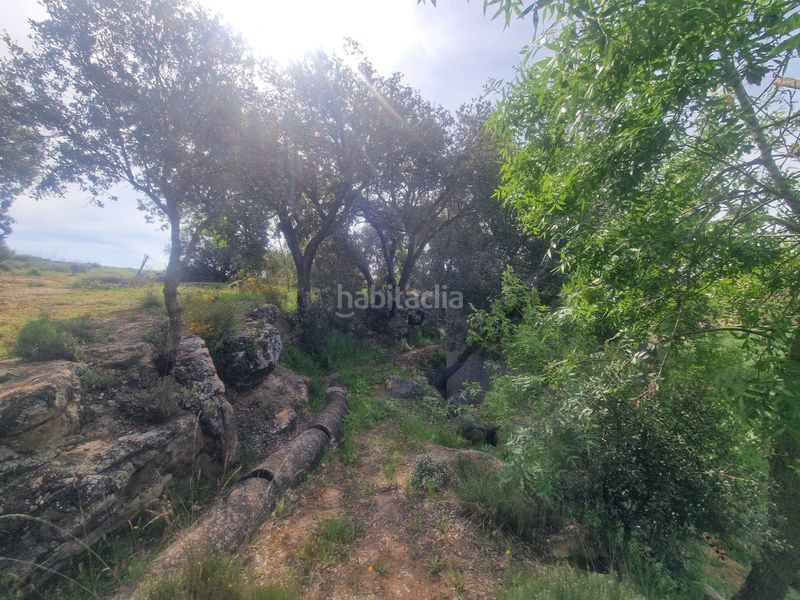 Foto a243fb89-ff8f-4950-9583-46635edf5a07. Masia amb xemeneia calefacció aparcament piscina a Preixens