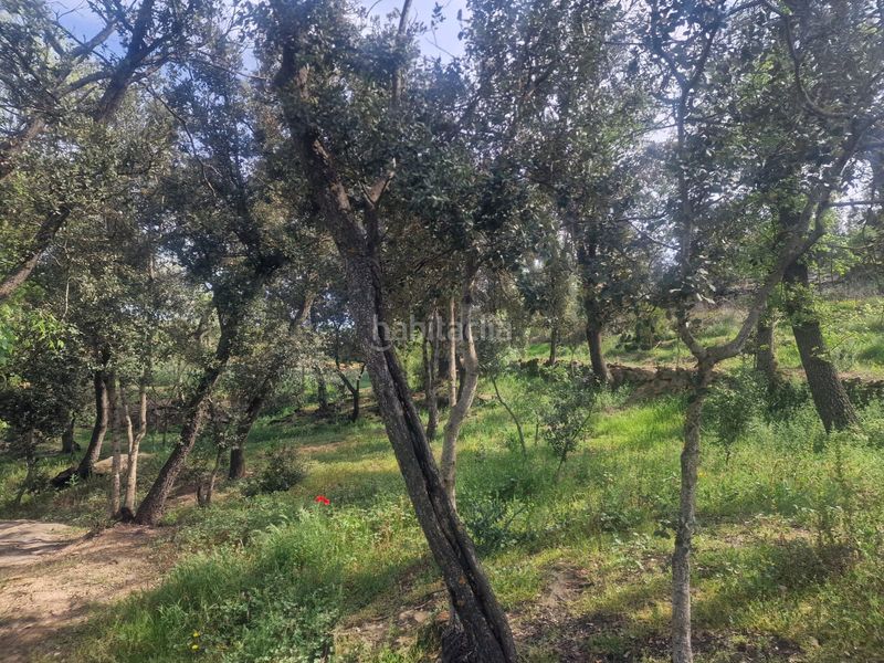 Foto afb87eb4-763a-4cc5-af26-4e28b4c6121d. Masia amb xemeneia calefacció aparcament piscina a Preixens