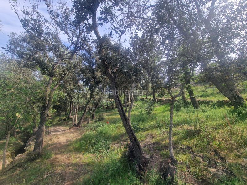 Foto ccbac921-c7ec-4bfd-9b33-d876cdf387aa. Masia amb xemeneia calefacció aparcament piscina a Preixens