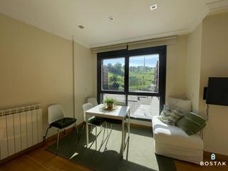 Affitto Piccolo appartamento in Quintana kalea 2. Espectacular apartamento en la plaza del gas