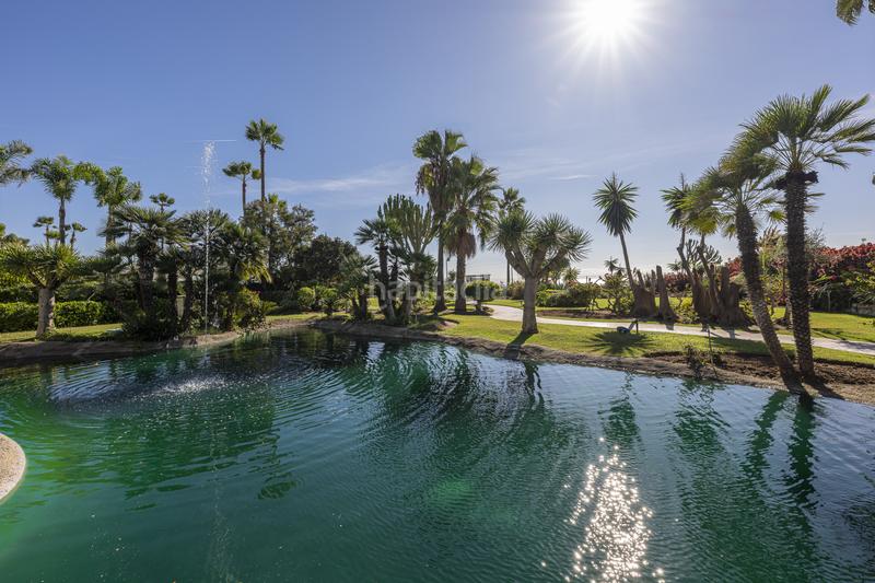 Foto 90ef784b-c504-476b-b669-6dcddcd21f01. Appartement mit pool in Villacana - Costalita - Saladillo Estepona