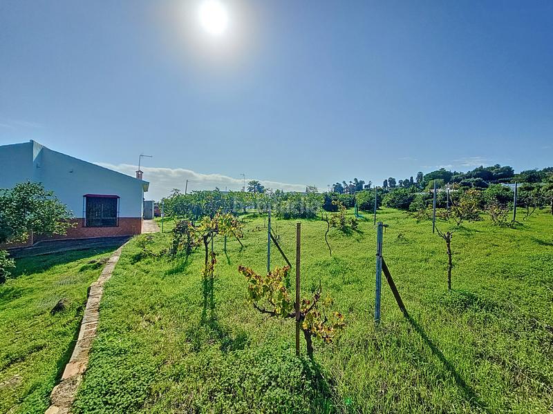 Foto d9789574-f6db-4422-929c-4278abc09ef1. Casa encantadora casa con grande finca en el padron, este en Estepona