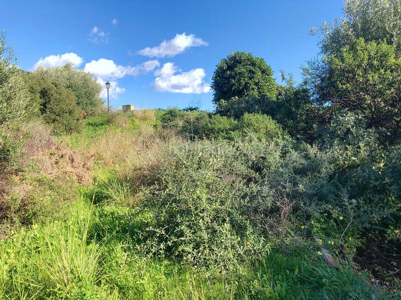 Foto 91926612-1fba-4ddd-8ca0-ede5b876407e. Terreny residencial a La Concha - Resina Golf Estepona