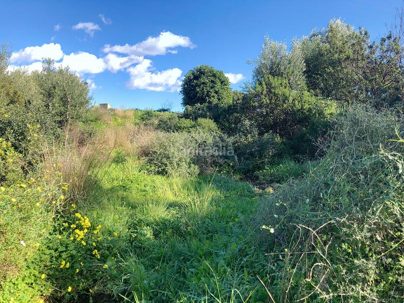 Foto 4f9dde87-65b3-46c2-ad6f-a419906c5cb1. Terreny residencial a La Concha - Resina Golf Estepona