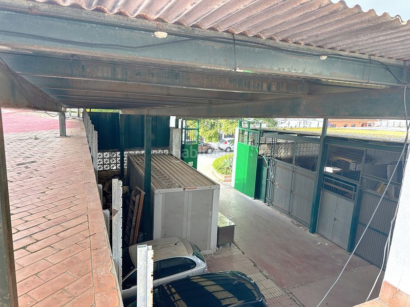 Foto c3865548-6b11-4821-a078-1af59297e0c8. Local comercial a Cancelada Estepona