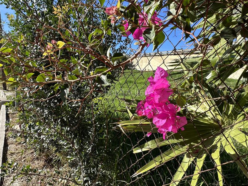 Foto 76e7caa3-83ca-4f61-92bd-2c2496aec647. Wohngrundstück in Buenas Noches Estepona