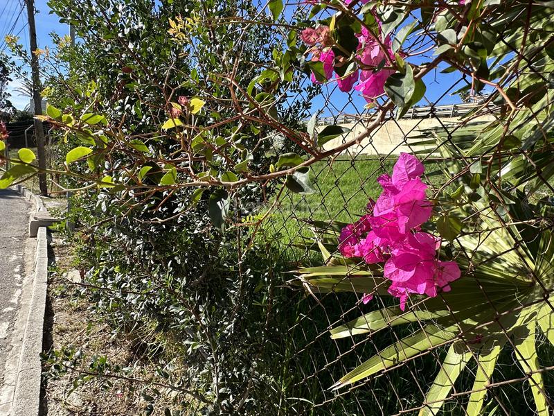 Foto a7623262-9016-4090-b47f-7ea1daed9cb2. Wohngrundstück in Buenas Noches Estepona