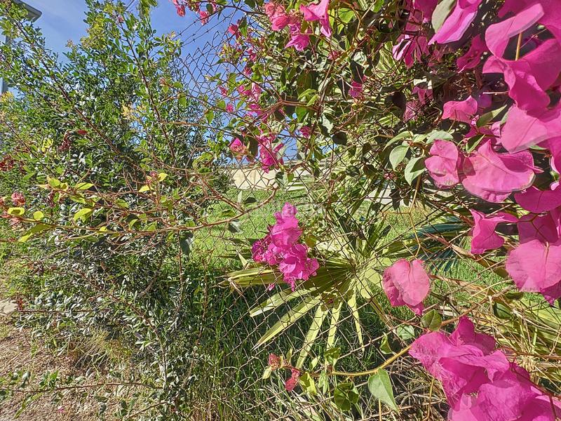 Foto f72011ea-40e6-4d34-ac01-4ed6f84b0574. Wohngrundstück in Buenas Noches Estepona