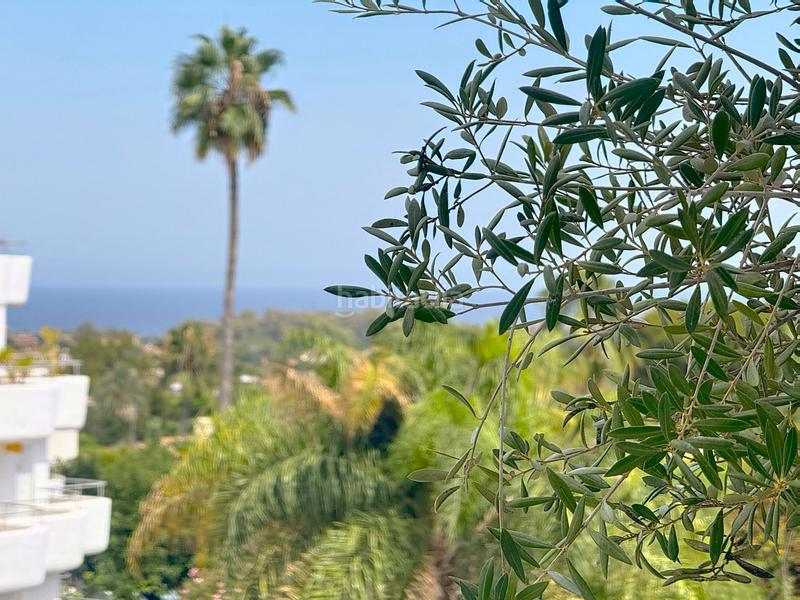 Foto a916dcee-7443-406a-9fd9-30c67e38d075. Apartamento  reformado con vistas panorámicas en guadalmina en Marbella