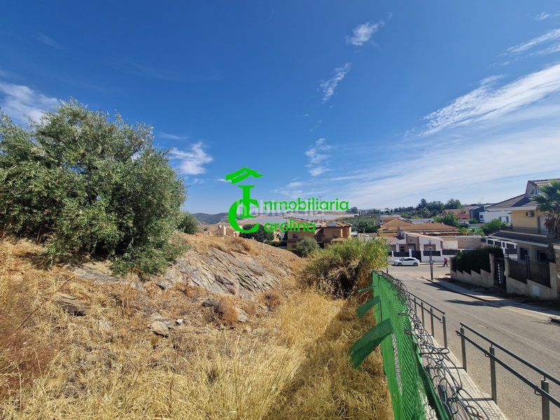 Foto b75c11e4-fee5-42dd-9a69-ce90eb2c2496. Residential plot in Carolina (La)