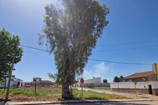 Terreno residenziale in Carolina (La). Solar en venta en anejo navas de tolosa.