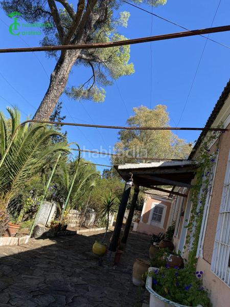 Foto 0ab4867a-6a2e-4296-abaa-39822f86829b. Haus mit pool in Baños de la Encina