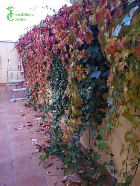 Foto 0351be77-70e5-4824-a36b-c6d670f8f60a. House with heating parking in Carolina (La)