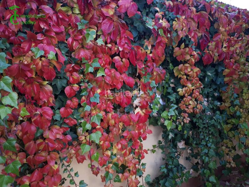 Foto 04daf03b-a5e4-4ac5-ba12-1f549c4c8d0c. House with heating parking in Carolina (La)