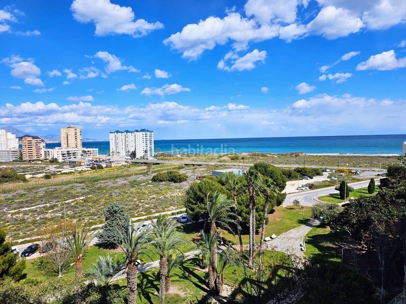 Foto 93ee8e10-9e9e-45e4-b61d-38ecbc9bb826. Pis amb aparcament piscina a Playa Muchavista Campello (el)