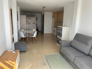 Lloguer Estudi a Albufereta. Estudio en alquiler en la albufereta, alicante  ideal para vivir