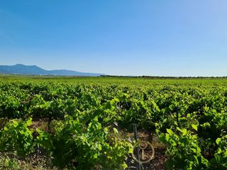 Casa  Paraje la alberquilla. Excelente bodega en la finca la alberquilla