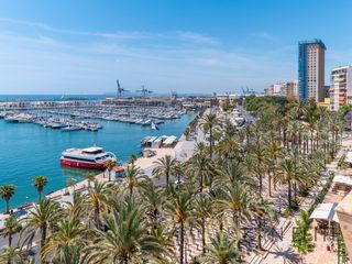 Rent Penthouse  Plaza gabriel miro. Vivienda única en el corazón de alicante con vistas inigualables