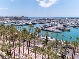Miete Dachwohnung  Plaza gabriel miro. Vivienda única en el corazón de alicante con vistas inigualables