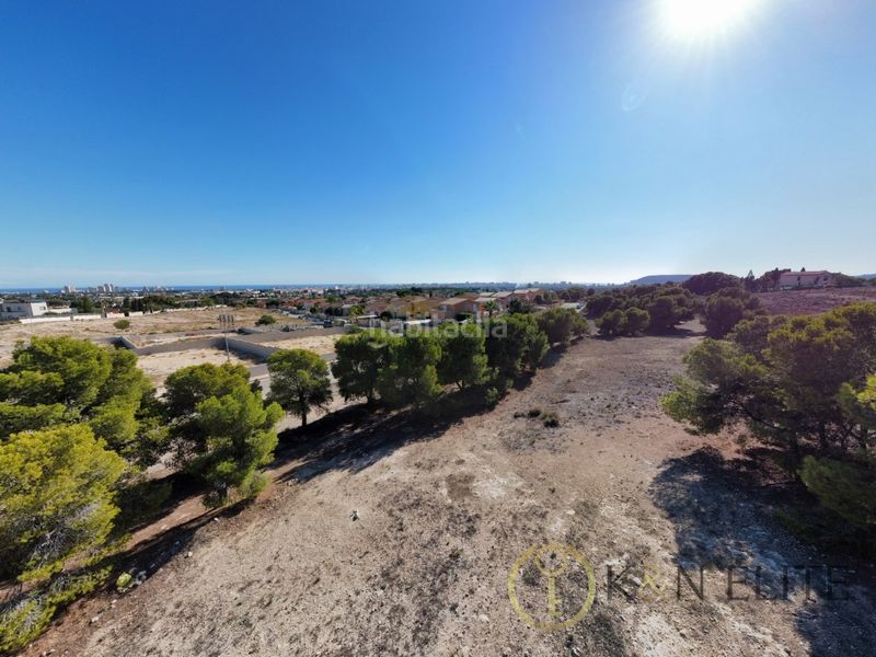 Foto 77992e0c-9f5a-405e-abd6-8921430d88b9. Terreny residencial a Centro Mutxamel
