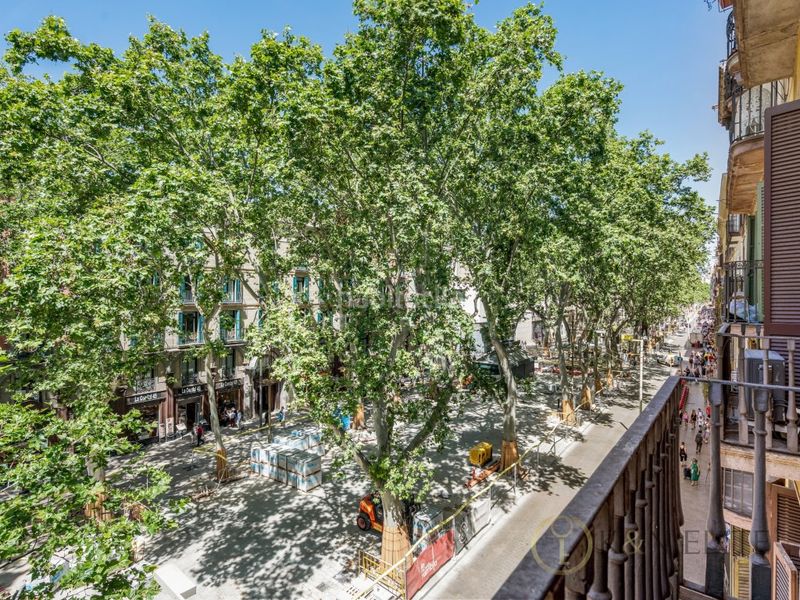 Foto 55837d44-3afc-41f8-a9f4-4f2d25ee127e. Àtic a Gòtic Barcelona
