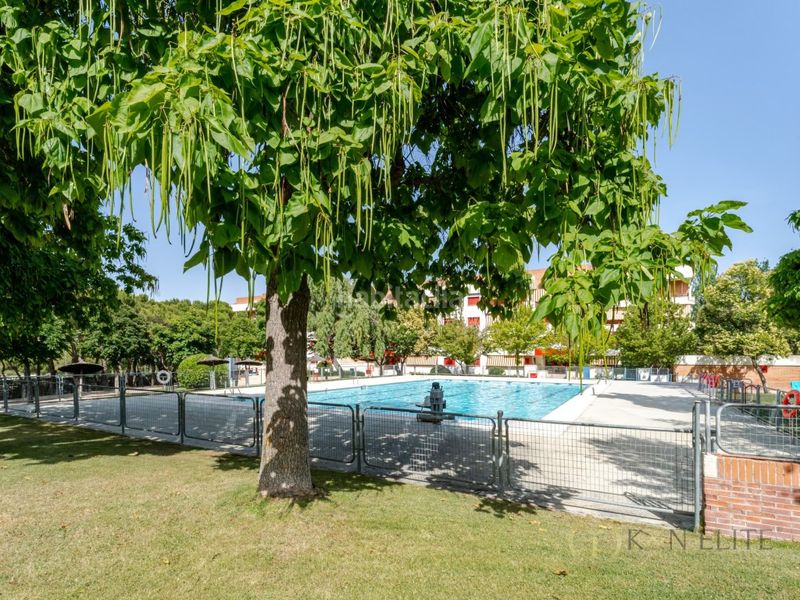 Foto db231be8-da59-4862-8a21-2b0e01f576b7. Flat with parking in Prado de Somosaguas Pozuelo de Alarcón