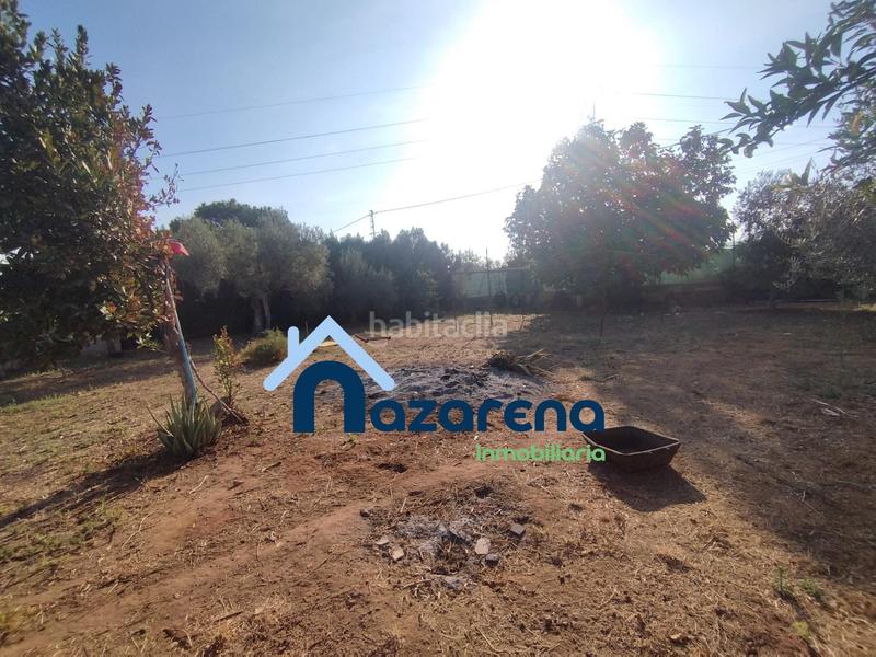 Foto 27c3aee5-7529-425c-9ea6-b4b8f4e0b5ca. Finca rústica a Oromana Alcalá de Guadaira