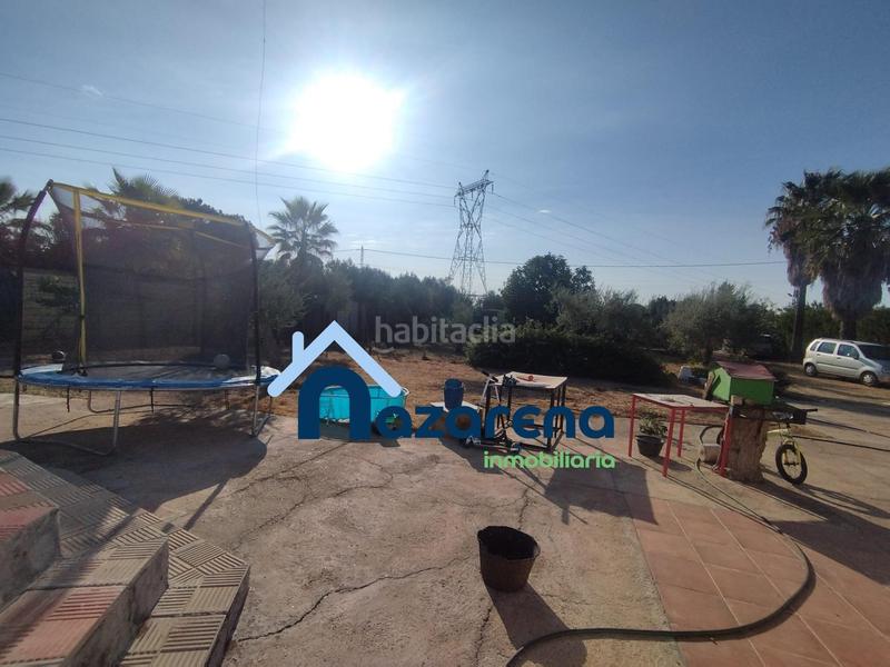 Foto c4e0eee9-8b90-45c2-80c9-a0cfd4a41f48. Finca rústica a Oromana Alcalá de Guadaira