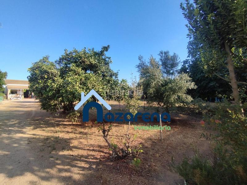 Foto e266502e-0c37-46a1-b8e1-16e911cf602f. Finca rústica a Oromana Alcalá de Guadaira