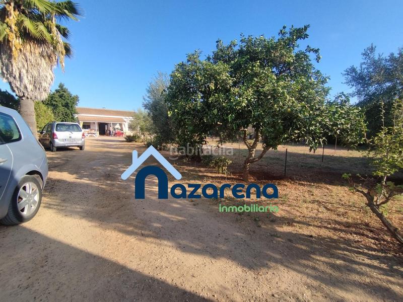 Foto ed19465a-debb-4a73-a39c-caeab5e14f79. Finca rústica a Oromana Alcalá de Guadaira