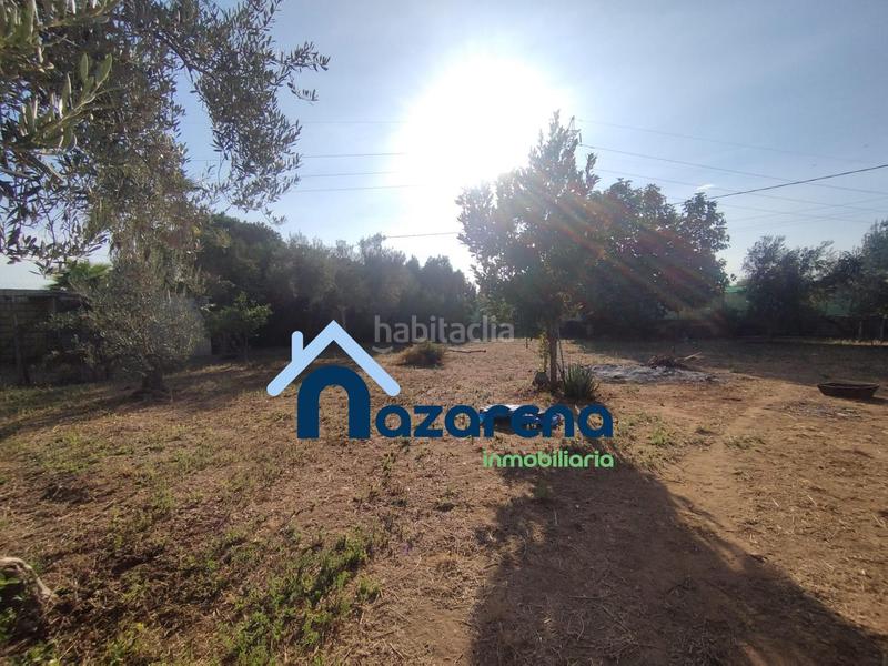 Foto f7b835d0-099b-4ca8-9200-9f9aa4f864d7. Finca rústica a Oromana Alcalá de Guadaira