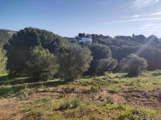 Terreny residencial a Sotogrande Alto. Terreno en venta en sotogrande alto, zona g