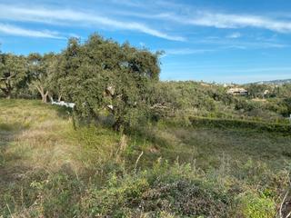 Terreny residencial a Sotogrande Alto. Parcela urbanizable en san roque club