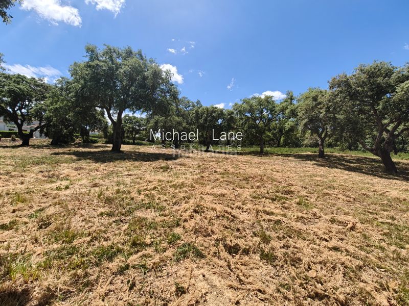 Foto 7ba4663d-a2ea-4ece-8538-b6fb4e8a9e0d. Terreny residencial a Sotogrande alto Sotogrande