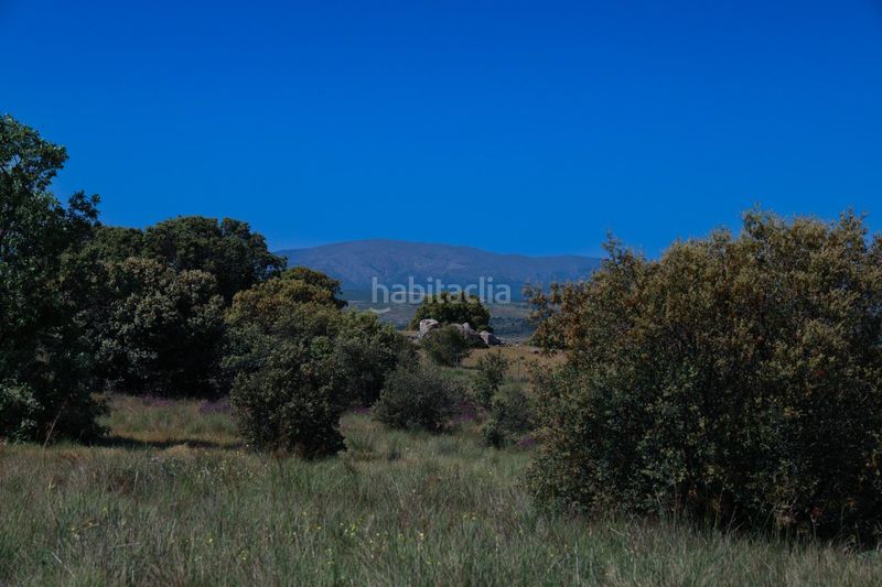 Foto 00e6e213-a056-4e04-9da4-0a2b5dd5af85. Finca rústica a Navalperal de Pinares