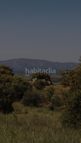 Foto 1ffe80ed-b60b-4ca1-9fb0-ddf82ecebf94. Finca rústica a Navalperal de Pinares